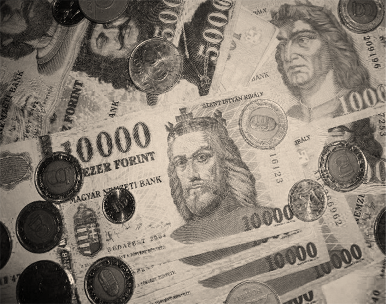 Le&iacute;r&aacute;s: http://ecopedia.hu/media/image/penz.jpg