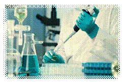 Chemistry Lab Skills and Various Strategies for Developing ... | Cademix