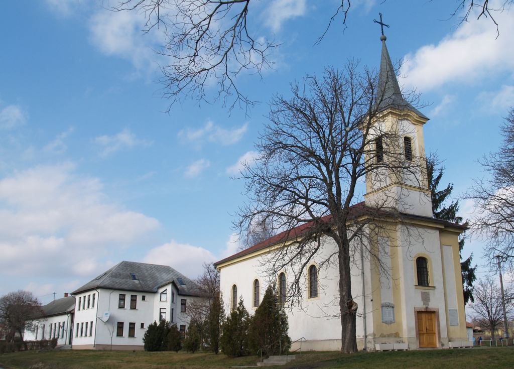 Le�r�s: Le�r�s: Le�r�s: D:\web\szelence1\csokonai\gyafa\P1315162.jpg